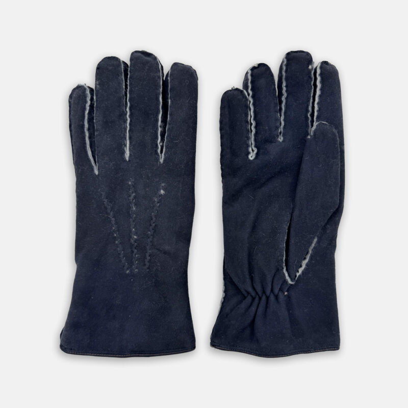 Handschoenen Van Caridei In Het Blauw In Model