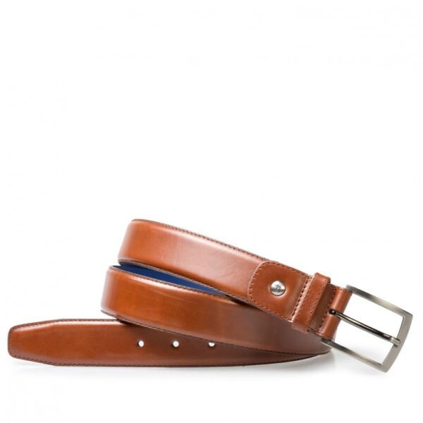 Riem Van Vanbommel In Het Bruin In Model